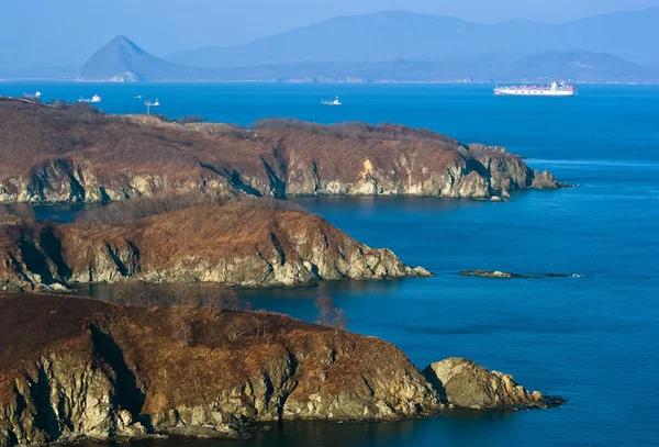 Dallas Trucking Companies for Small and Large Shipments